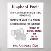 Elephant Facts Classroom Poster (Voorkant)