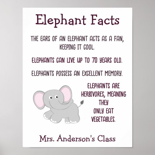 Elephant Facts Classroom Poster (Voorkant)