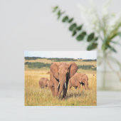 Elephant-familie in de struik briefkaart (Staand voorkant)