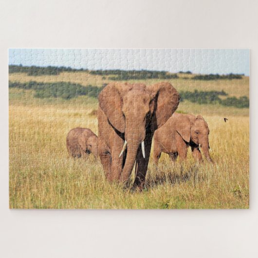 Elephant-familie in de struik legpuzzel (Horizontaal)