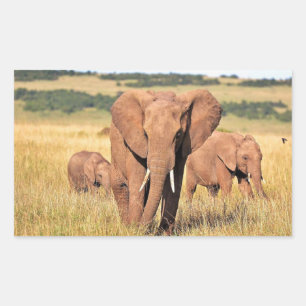 Elephant-familie in de struik rechthoekige sticker