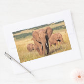 Elephant-familie in de struik rechthoekige sticker (Envelop)