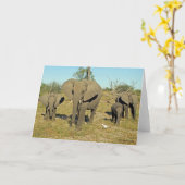 ELEPHANT FAMILIE KAART (Gele Bloem)