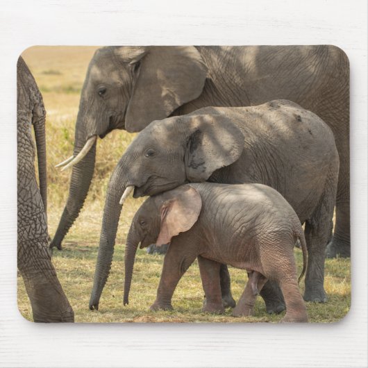 Elephant-familie/W-Baby die invloed heeft Muismat (Voorkant)