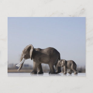 Elephant Family background blue sky Briefkaart