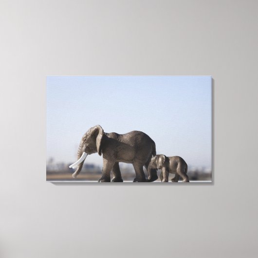 Elephant Family background blue sky Canvas Afdruk (Voorkant)