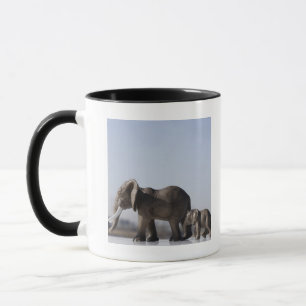 Elephant Family background blue sky Mok