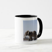 Elephant Family background blue sky Mok (Voorkant rechts)