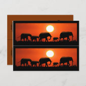 Elephant Family Book Markers Briefkaart (Voorkant / Achterkant)
