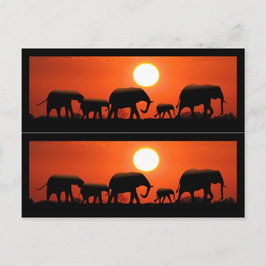 Elephant Family Book Markers Briefkaart (Voorkant)