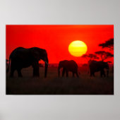 Elephant Family  in Sunset Poster (Voorkant)