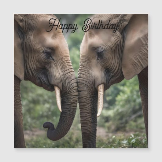 Elephant Family Love (Voorkant)