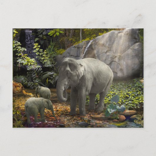 Elephant Family RAIN FOREST PARTY Briefkaart (Voorkant)