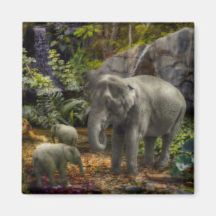 Elephant Family RAIN FOREST PARTY Magneet