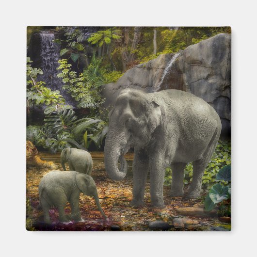 Elephant Family RAIN FOREST PARTY Magneet (Voorkant)