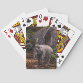 Elephant Family RAIN FOREST PARTY Pokerkaarten