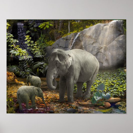 Elephant Family RAIN FOREST PARTY Poster (Voorkant)