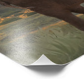 Elephant Family "The Bonds that Stropdas" Foto Afdruk (Hoek)