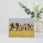 Elephant Family Walking Briefkaart (Staand voorkant)