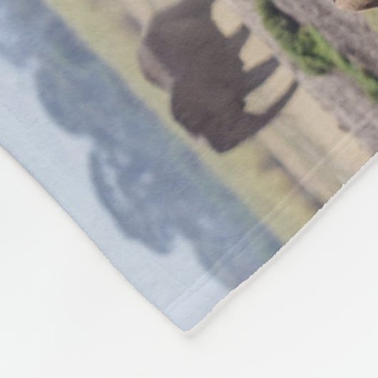 Elephant Family Walking Fleece Deken (Hoek)