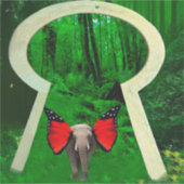 Elephant Fantasy Sticker (Voorkant)