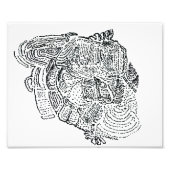 Elephant Foto Afdruk (Voorkant)