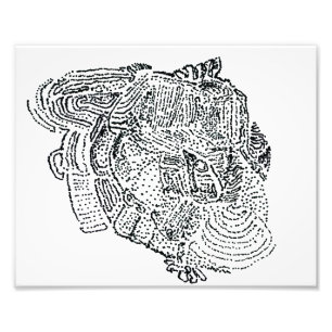 Elephant Foto Afdruk