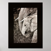 Elephant foto Afrikaanse kunst PORTFOLIO formaat Poster (Voorkant)