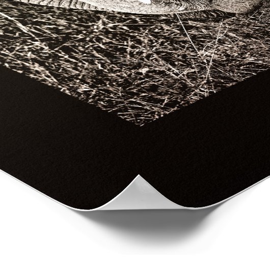 Elephant foto Afrikaanse kunst PORTFOLIO formaat Poster (Hoek)