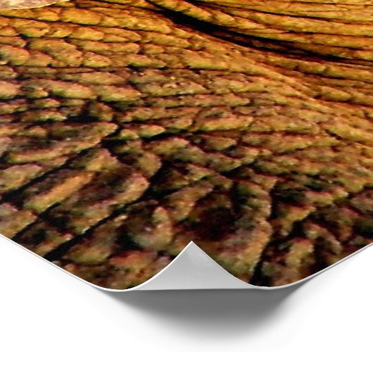 Elephant-foto Poster (Hoek)