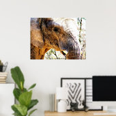 Elephant-foto Poster (Thuiskantoor)