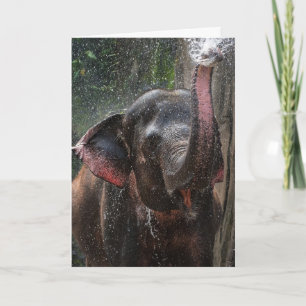 ELEPHANT FOTOGRAPH FUNNY SPLASH BIRTHDAY KAART