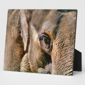 ELEPHANT FOTOPLAAT (Zijkant)