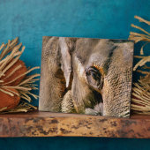 ELEPHANT FOTOPLAAT (Zijkant)