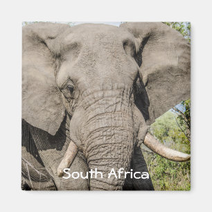 Elephant Fridge Magnet - Zuid - Afrika