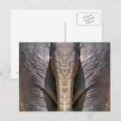 ELEPHANT FUN BRIEFKAART (Voorkant / Achterkant)