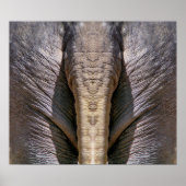 ELEPHANT FUN POSTER (Voorkant)