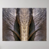 ELEPHANT FUN POSTER (Voorkant)