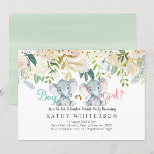 Elephant gender onthulling kaart