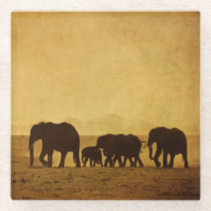 Elephant Glazen Onderzetter