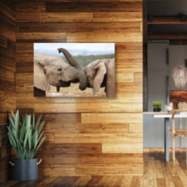 Elephant greeting Canvas omgeven