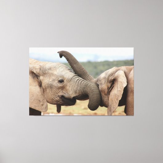 Elephant greeting Canvas omgeven Afdruk (Voorkant)