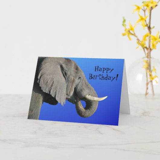Elephant Happy Birthday Funny Age Blauw en Grijs Kaart (Gele Bloem)