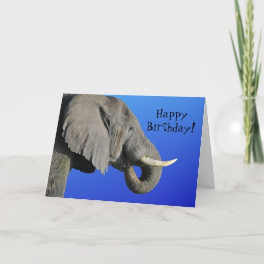 Elephant Happy Birthday Funny Age Blauw en Grijs Kaart (Voorkant)