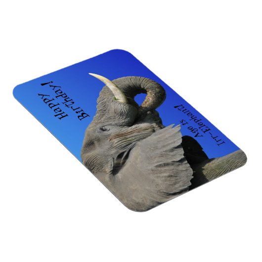 Elephant Happy Birthday Funny Age is Irr Elephant Magneet (Rechterzijde)