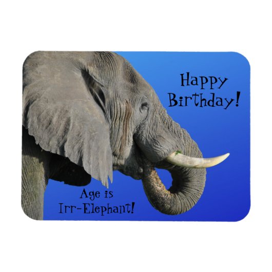 Elephant Happy Birthday Funny Age is Irr Elephant Magneet (Horizontaal)