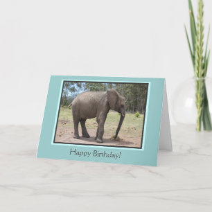 Elephant Happy Birthday Kaart