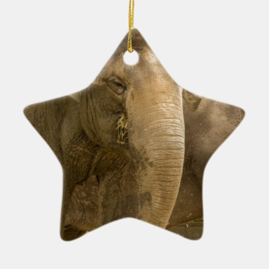 Elephant/Heffalump Keramisch Ornament (Voorkant)