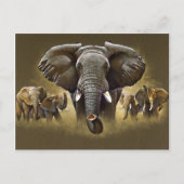 Elephant Herd Charging Briefkaart (Voorkant)