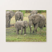Elephant Herd Foto Puzzle Legpuzzel (Horizontaal)